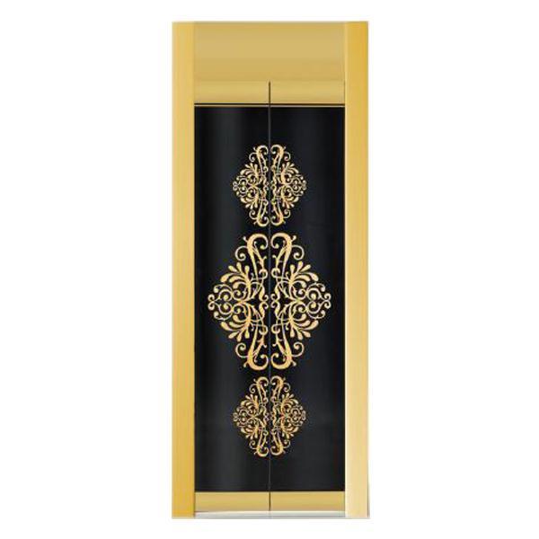 Automatic Decorative Elevator Door with Glass.